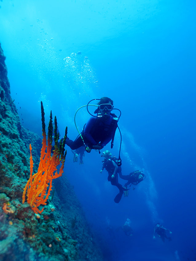 homepage-diving-excursions_orig